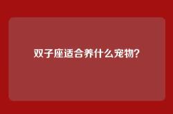 双子座适合养什么宠物？