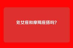 处女座和摩羯座搭吗？