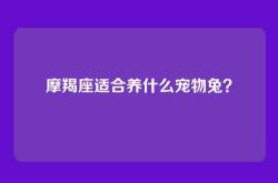 摩羯座适合养什么宠物兔？
