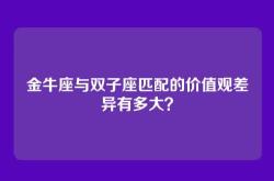 金牛座与双子座匹配的价值观差异有多大？