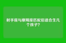 射手座与摩羯座匹配后适合生几个孩子？