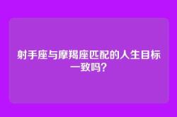 射手座与摩羯座匹配的人生目标一致吗？