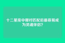 十二星座中哪对匹配后最容易成为灵魂伴侣？