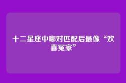 十二星座中哪对匹配后最像“欢喜冤家”