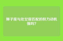 狮子座与处女座匹配的权力动机强吗？