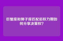 巨蟹座和狮子座匹配后权力期如何分享决策权？