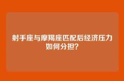 射手座与摩羯座匹配后经济压力如何分担？