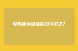 摩羯座项目延期如何解决？
