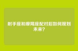 射手座和摩羯座配对后如何规划未来？