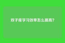 双子座学习效率怎么提高？