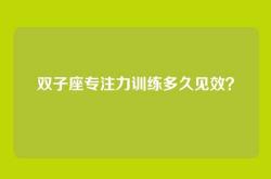 双子座专注力训练多久见效？