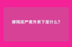 摩羯座严肃外表下是什么？