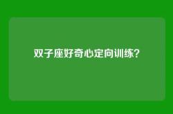 双子座好奇心定向训练？