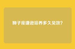 狮子座谦逊培养多久见效？