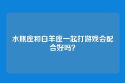 水瓶座和白羊座一起打游戏会配合好吗？