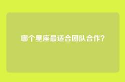 哪个星座最适合团队合作？