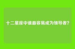 十二星座中谁最容易成为领导者？