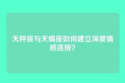 天秤座与天蝎座如何建立深度情感连接？