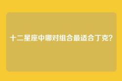 十二星座中哪对组合最适合丁克？