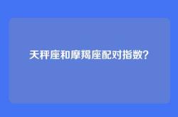 天秤座和摩羯座配对指数？