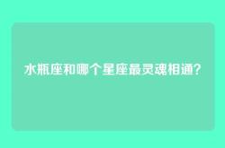 水瓶座和哪个星座最灵魂相通？