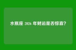 水瓶座 2026 年财运是否惊喜？