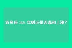双鱼座 2026 年财运是否温和上涨？