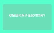 双鱼座和双子座配对如何？