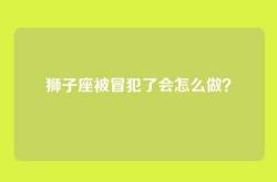 狮子座被冒犯了会怎么做？