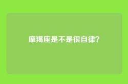 摩羯座是不是很自律？