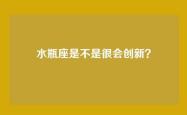 水瓶座是不是很会创新？