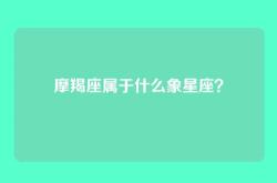 摩羯座属于什么象星座？