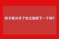 双子座分手了会立刻找下一个吗？