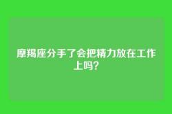 摩羯座分手了会把精力放在工作上吗？