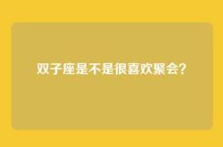 双子座是不是很喜欢聚会？
