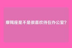 摩羯座是不是很喜欢待在办公室？