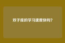 双子座的学习速度快吗？