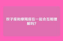 双子座和摩羯座在一起会互相理解吗？
