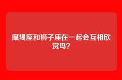 摩羯座和狮子座在一起会互相欣赏吗？