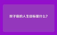 双子座的人生目标是什么？