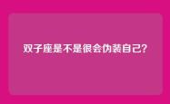 双子座是不是很会伪装自己？