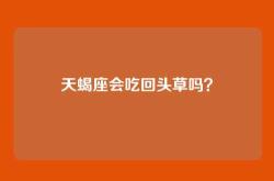 天蝎座会吃回头草吗？