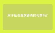 双子座会喜欢新奇的礼物吗？