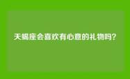 天蝎座会喜欢有心意的礼物吗？