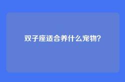 双子座适合养什么宠物？