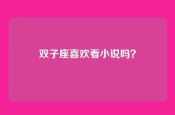 双子座喜欢看小说吗？