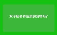 双子座会养活泼的宠物吗？