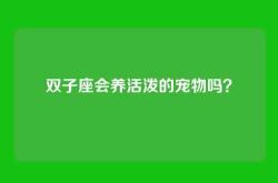 双子座会养活泼的宠物吗？