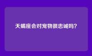 天蝎座会对宠物很忠诚吗？