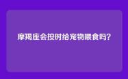摩羯座会按时给宠物喂食吗？